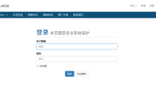 Megalayer新加坡服务器怎么样？80ms CN2线路实测-云站友
